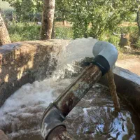 فروش زمین کشاورزی دارای موتور آب|فروش زمین و ملک کلنگی|عجب شیر, |دیوار