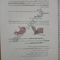 جزوه رنگی زیست حنیف عظیمی سالیانه جامع ۱۴۰۴ تاملند|کتاب و مجله آموزشی|مشهد, سرافرازان|دیوار