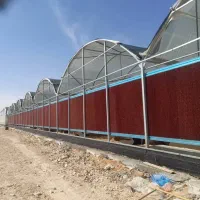 پد سلولزی دزفول