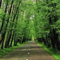 تور شمال ، کردستان|تور و چارتر|شیراز, وصال|دیوار