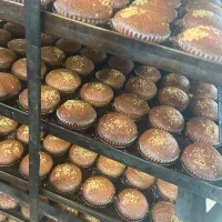 به تعدادی نیروی کمکی و استاد کار نیازمندیم