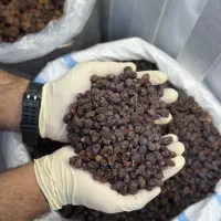 مویز کشمش آفتابی