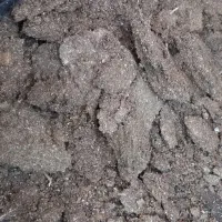 خاک برگ وکود خالص مرغی موجوداست