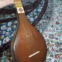 سه تار حرفه ای همراه هاردکیس
