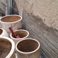 گلدان سفالی و فانتزی|گل و گیاه طبیعی|تهران, صد دستگاه|دیوار