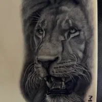 مدل برای تتو بدن رایگان با بهترین مواد|خدمات آرایشگری و زیبایی|اردبیل, |دیوار