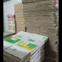 کارتن تخم مرغ|ظروف نگهدارنده، پلاستیکی، یک‌بارمصرف|رباط‌کریم, الارد|دیوار