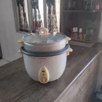 پلوپز بخار پز چند کاره