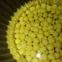 ح.لزون مول.د|خزنده|تهران, شکوفه|دیوار