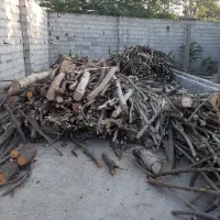 خریدار چوب و درخت باغی