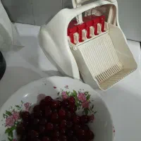 ظروف پذیرایی