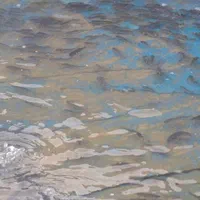 ماهی کپور برای استخر های کشاورزی|ماهی|کاشان, شهرک فرهنگیان|دیوار