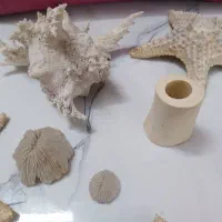 شل وستاره مناسب اکواریوم وویترین دکور کرج وتهران|بدلیجات|کرج, پیشاهنگی|دیوار