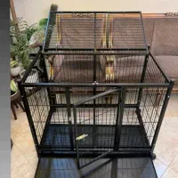 قفس سگ.باکــس فـلزی سگ،گارانتی۲ســاله رنگ|لوازم جانبی حیوانات|صفادشت, |دیوار