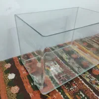 آکواریوم|ماهی|امیدیه, |دیوار