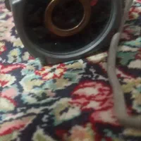 دوربین چشم دیددرشب