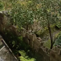 دنبال کارم پاره وقت جوان باسلیقه ام