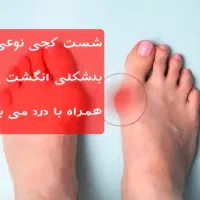 تجهیزات پزشکی سارگل|پزشکی|شیراز, قالیشویی|دیوار