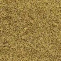 بذر یونجه کوشش اصلی