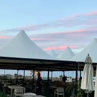 فست فود کار حرفه ای