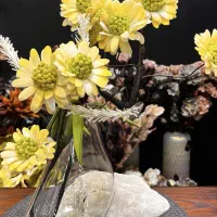 گلدان اکواریومی