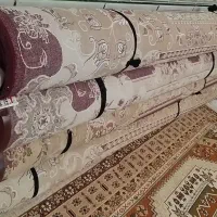 فرش|فرش|شوش, |دیوار