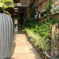 گل و گیاه ، گلدان ، تاج گل ، باکس گل درختچه|گل مصنوعی|کهریزک, |دیوار