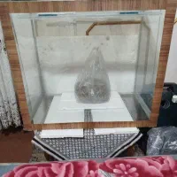 آکواریوم ماهی|ماهی|شیراز, پانصد دستگاه ارتش|دیوار