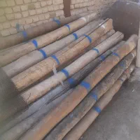 چوب درخت  باغ