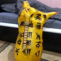 نی انبان حرفه ایی