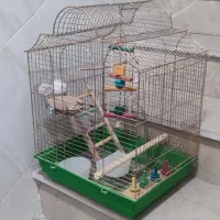 قفس پرنده با آیتم های داخل قفس