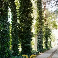 باغ-ویلا-2750-در-شهرک-زیبادشت