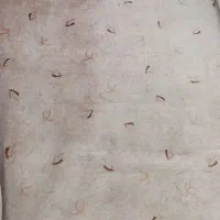 موکت تمیز