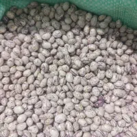 بادام درختی|خوردنی و آشامیدنی|سده (فارس), |دیوار
