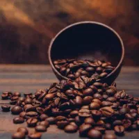 فروش قهوه وپودریجات|کافی‌شاپ و رستوران|ساوه, |دیوار