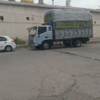 کاه کرمانشاه و یونجه سبز همدان