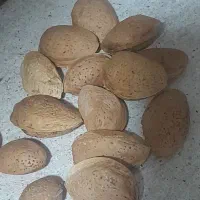 گردو بادام