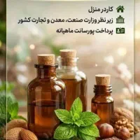 کار در منزل آنلاین بدون هیچ هزینه ای