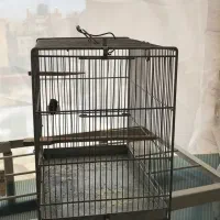 قفس ارمان سایز ۳