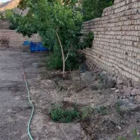 فروش زمین
