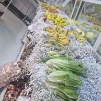 قفسه میوه فروشی|فروشگاه و مغازه|برازجان, |دیوار