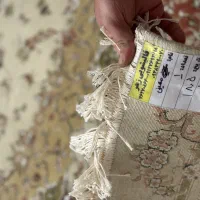 فرش 12 متری کارکرده|فرش|پردیس, فاز ۲|دیوار