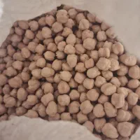 نخوددرجه ی یک بهاره