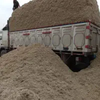 کاه نیشکر|حیوانات مزرعه|اندیمشک, |دیوار