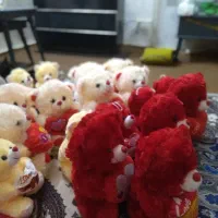 خرس ولنتاین|کلکسیون و سرگرمی|بکتاش, |دیوار