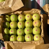 سیب لوکس ترگور|خوردنی و آشامیدنی|صومای برادوست, |دیوار