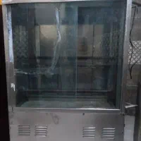 بریونی مرغ