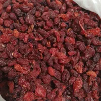 ذغال اخته خشک بدون هسته