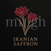 طراحی لوگو،طراحی کارت ویزیت،طراحی پوستر|خدمات رایانهای و موبایل|تهران, سلسبیل شمالی|دیوار