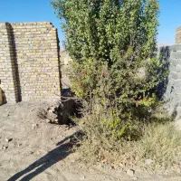 زمین واقع در زیرکن|فروش زمین و ملک کلنگی|مشهد, زیرکن|دیوار